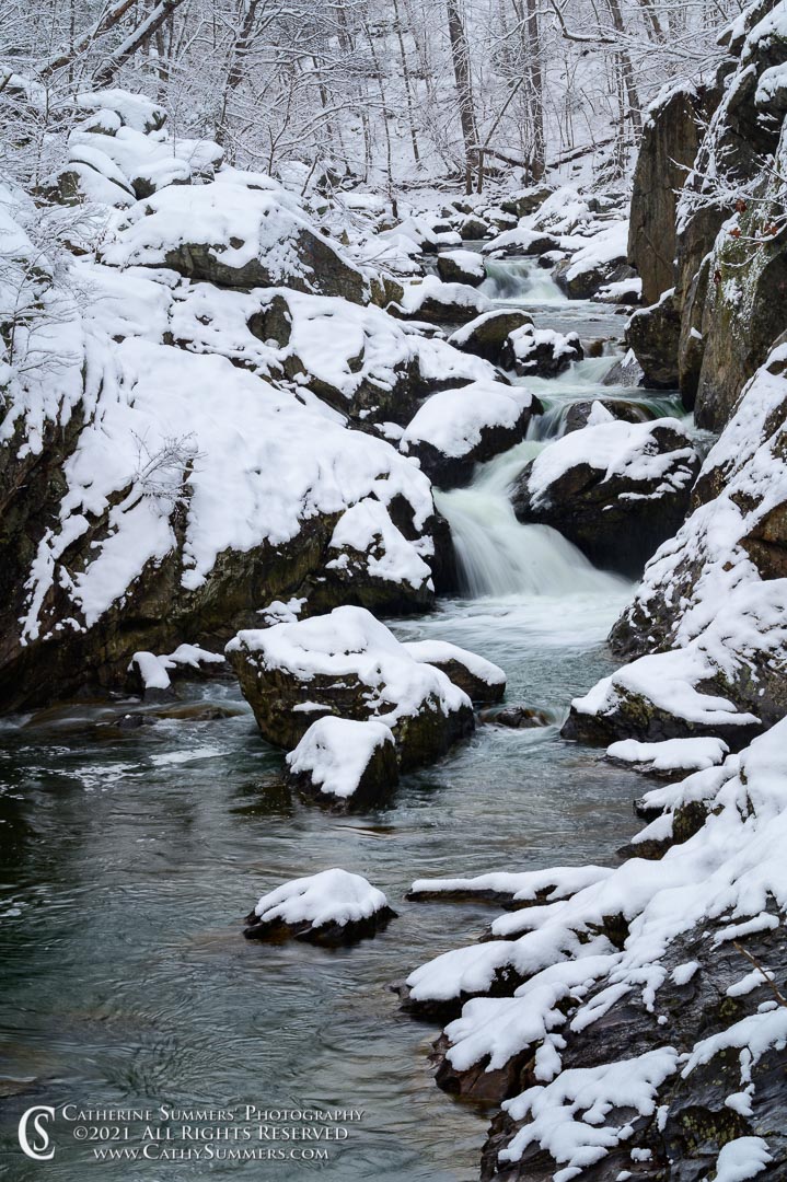 Difficult Run Gorge on a Snowy Winter Morning 20210202_003: vertical, winter, snow, stream, river, water, Difficult Run