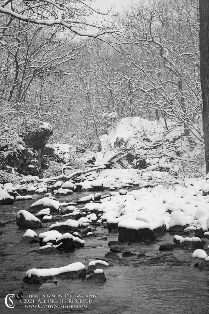 Above the Difficult Run Gorge on a Snowy Winter Morning - Black & White 20210202_021: vertical, winter, snow, stream, river, black and white, water, Difficult Run
