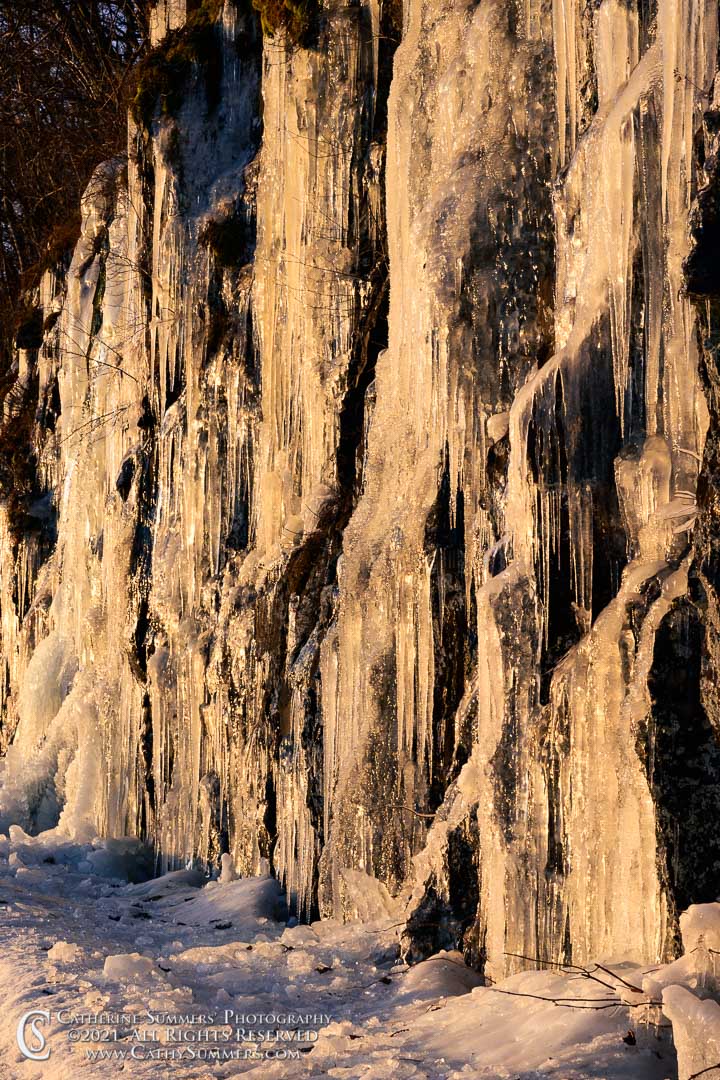 20210306_043: vertical, winter, Shenandoah National Park, ice, Blue Ridge Mountains, sunrise, icicle, Skyline Drive