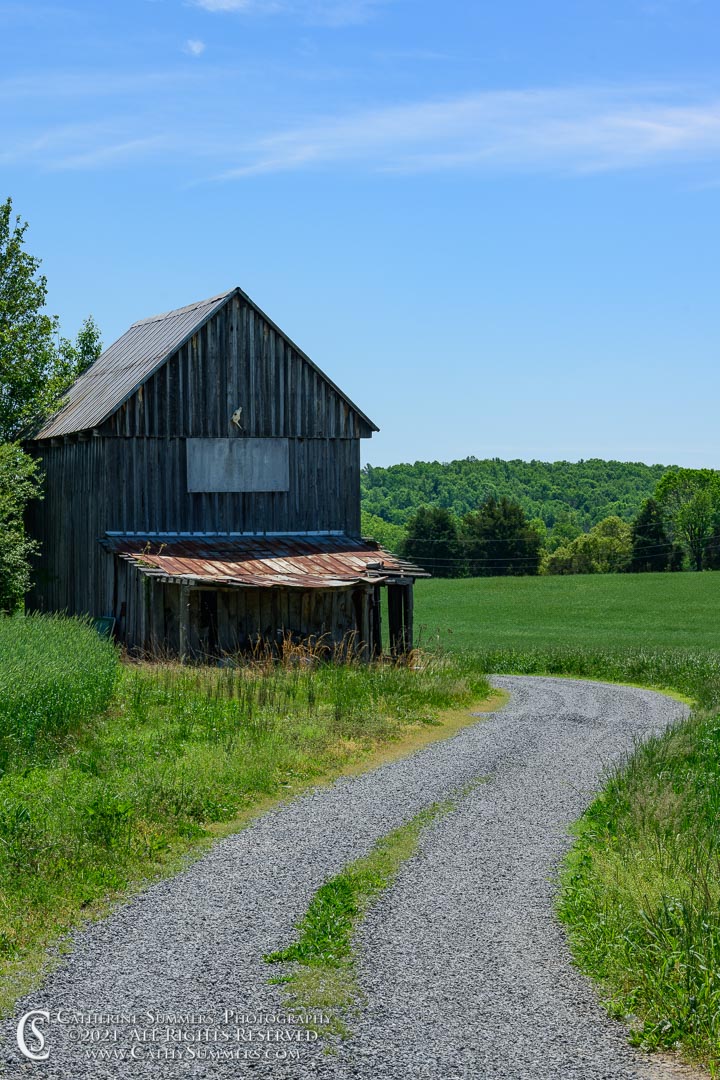 Weathered Barn on a Spring Day