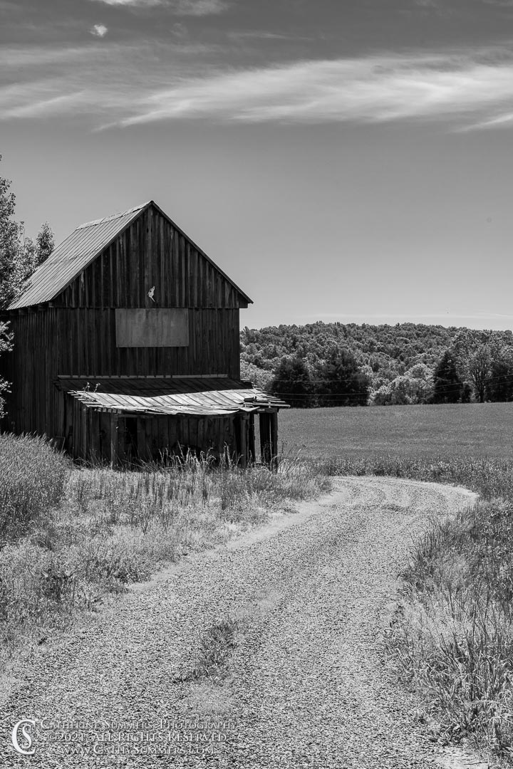 20210506_003: clouds, spring, barn, field, road, black and white, gravel road