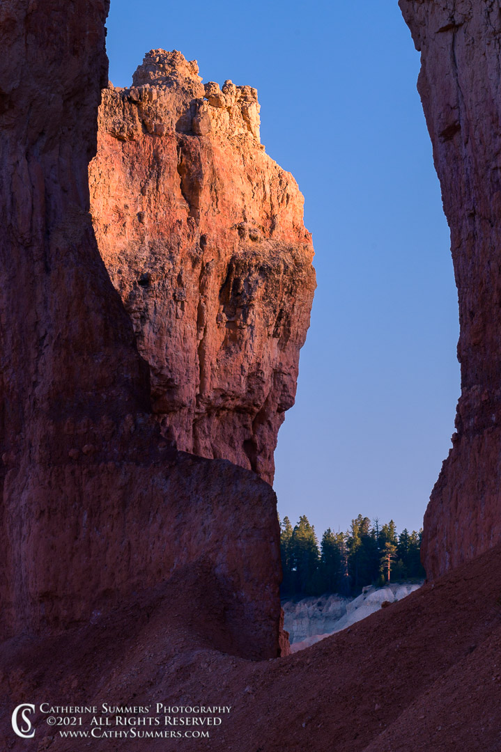 20210518_207: sunset, vertical, rock, Bryce Canyon, hoodoos