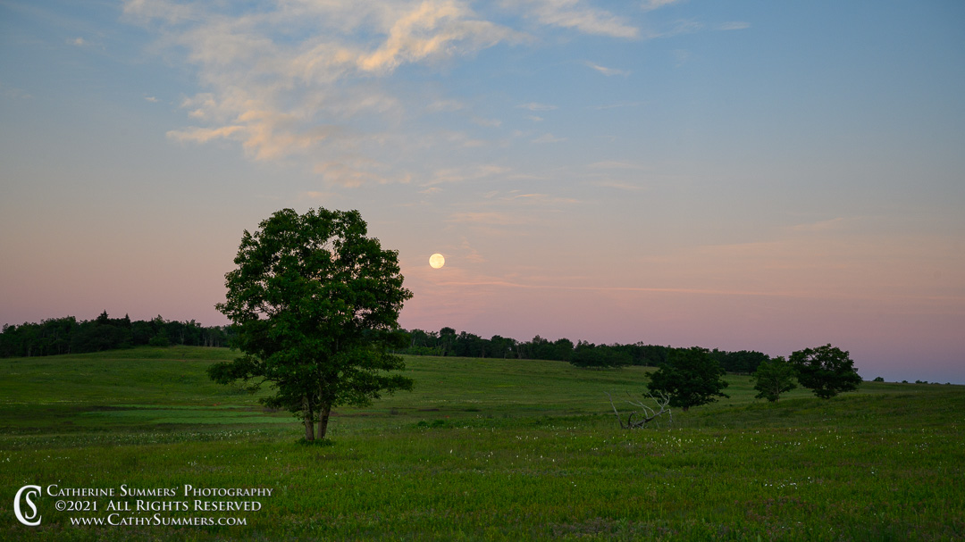 Big Meadows at Dawn with the Setting Strawberry Moon