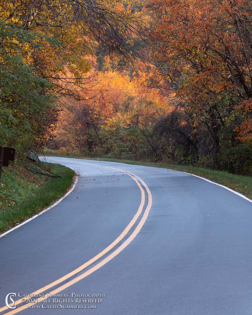 Skyline Drive at Dawn on an Autumn Morning