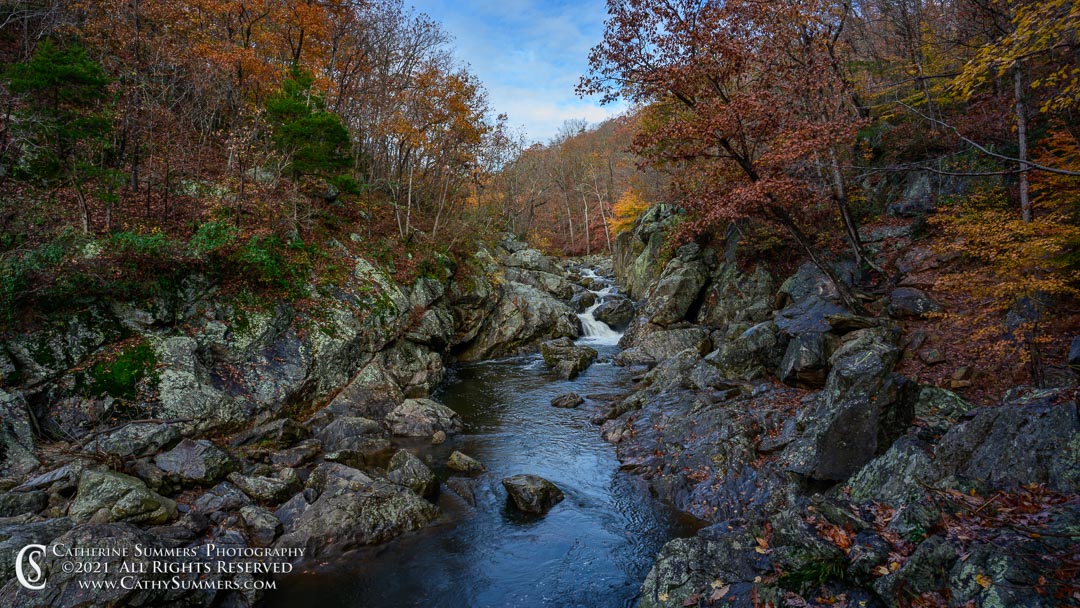 After the Rain, Autumn Morning  on Difficult Run