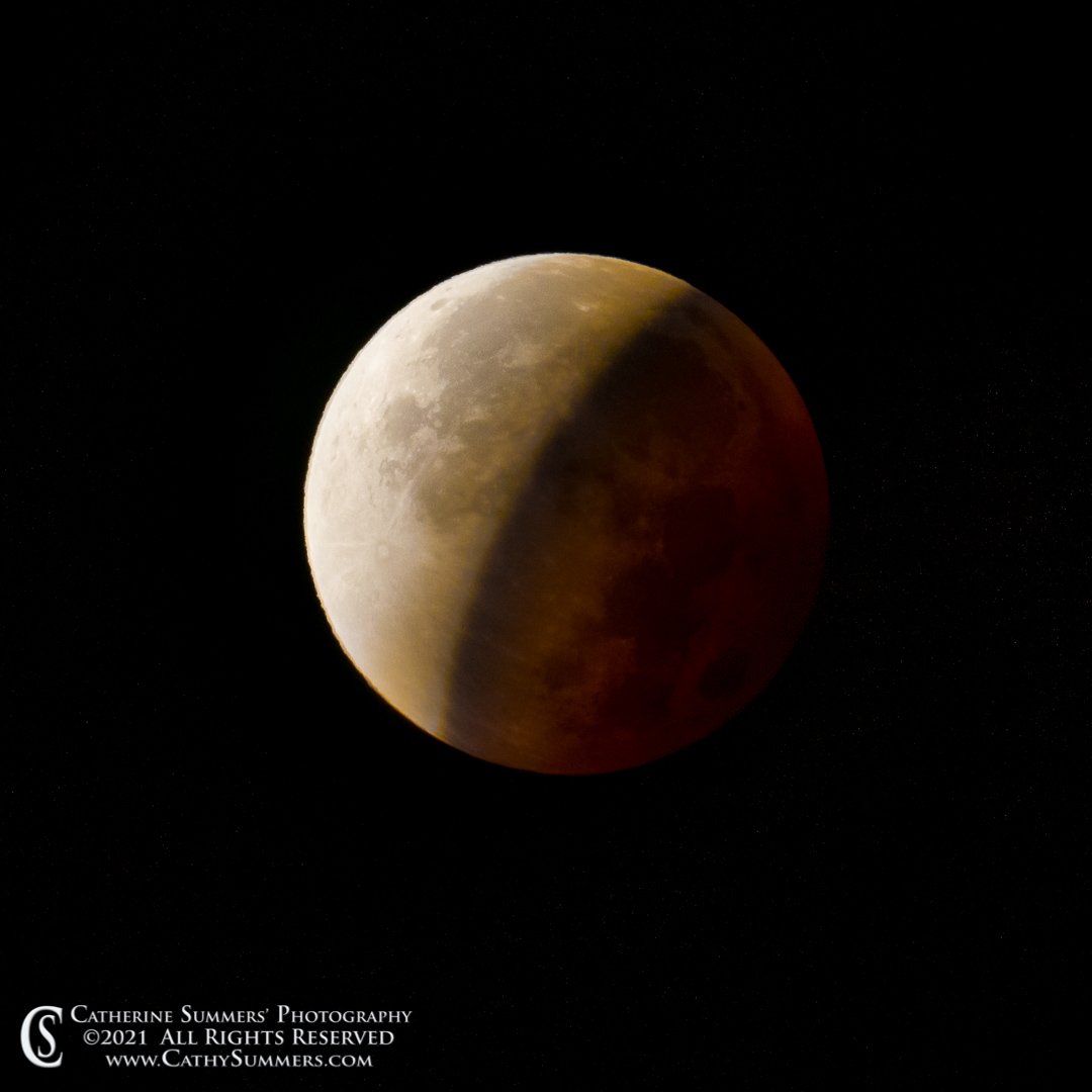 20211119_059: square, blood moon, full moon, composite photo, Beaver moon, lunar eclipse