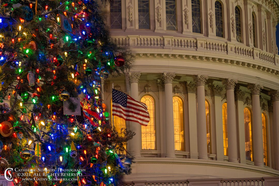 20211219_013: horizontal, US Capitol, Flag, Christmas Decorations