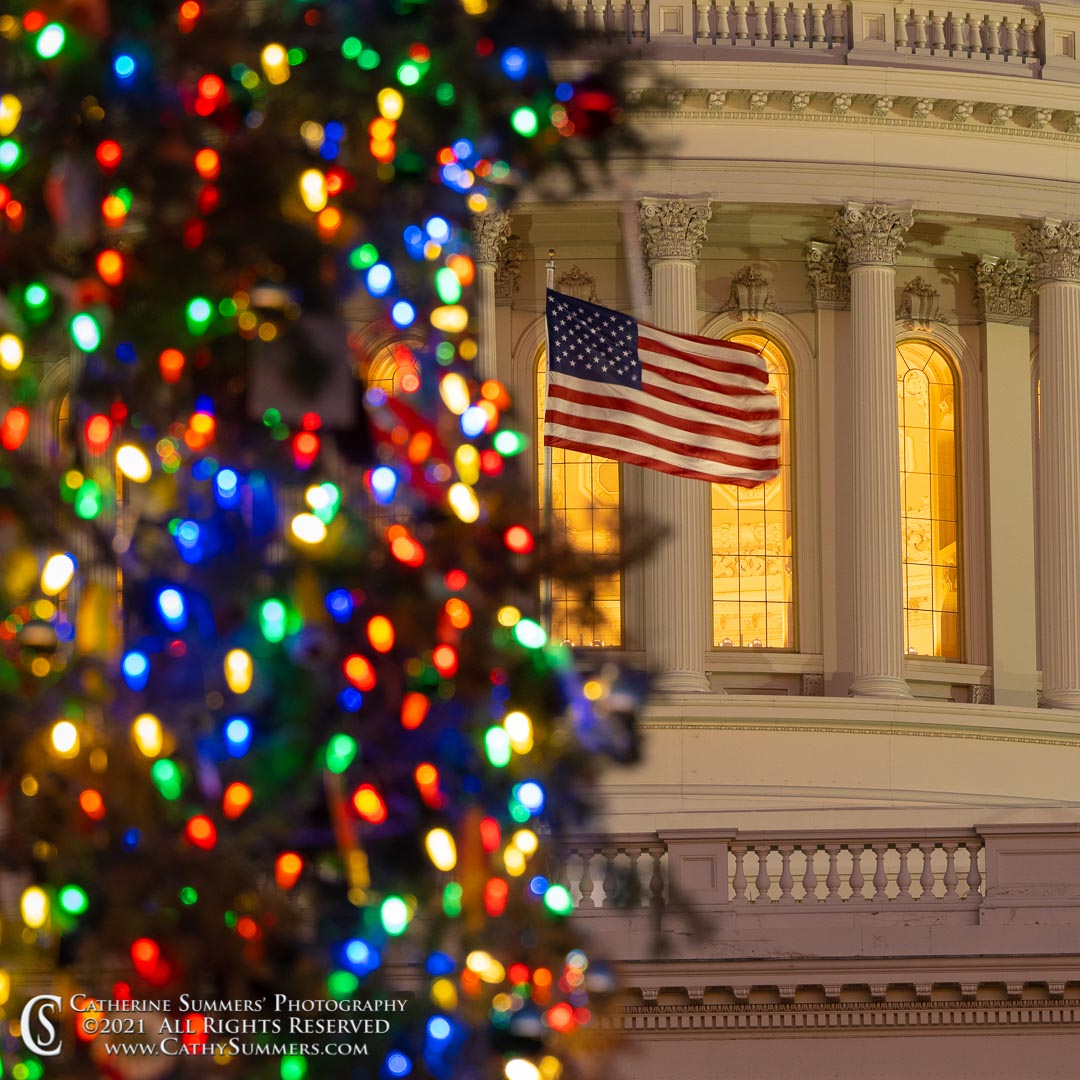 20211219_017: square, US Capitol, Flag, Christmas Tree, Christmas Decorations