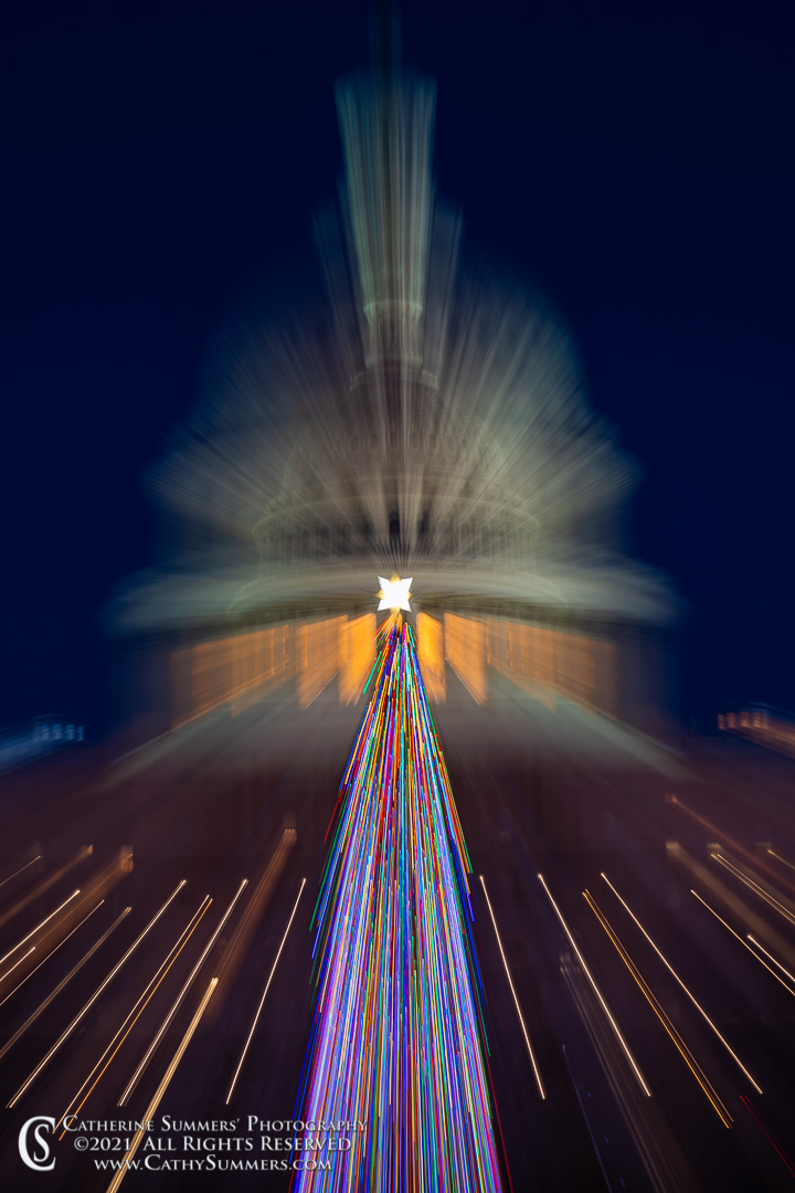 20211219_019: vertical, US Capitol, zoom, ICM, Christmas Tree, Christmas Decorations