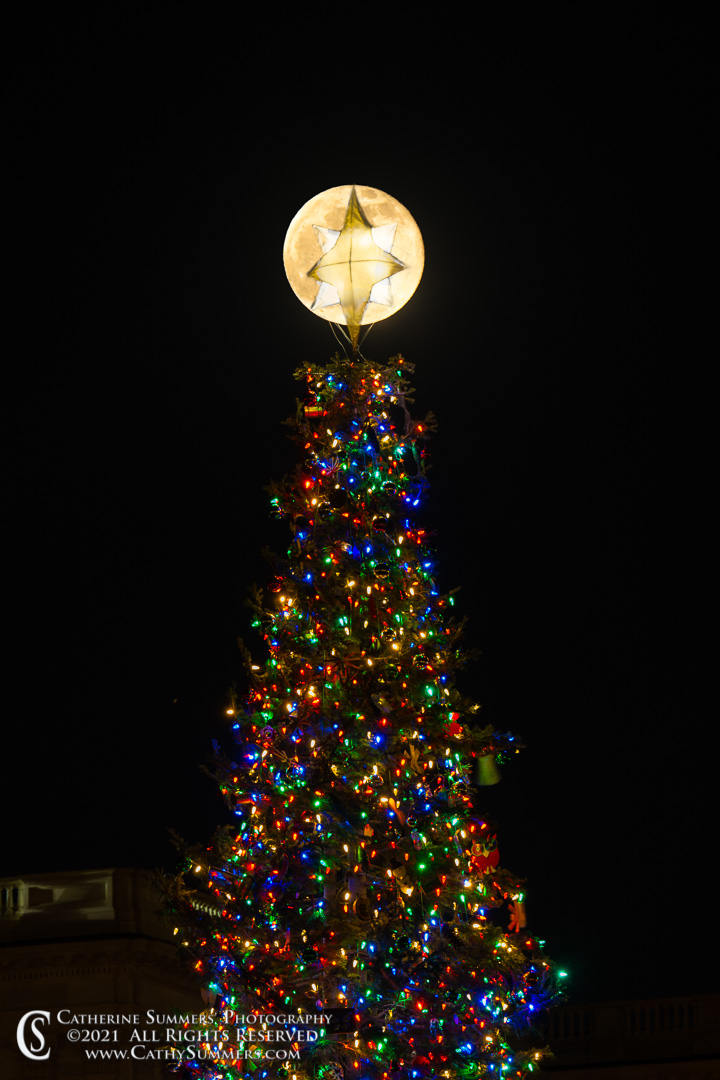20211219_032: vertical, moon, US Capitol, Christmas Tree, Christmas Decorations