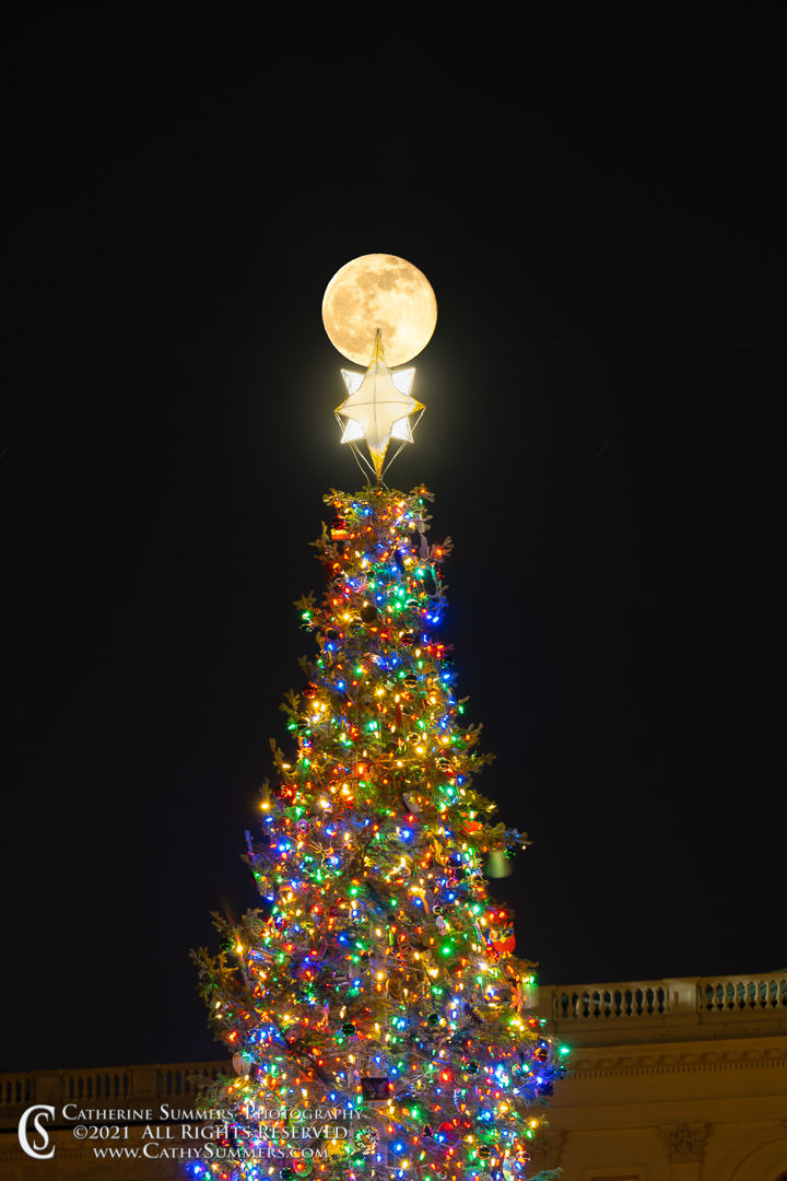 20211219_033: vertical, moon, US Capitol, Christmas Tree, Christmas Decorations