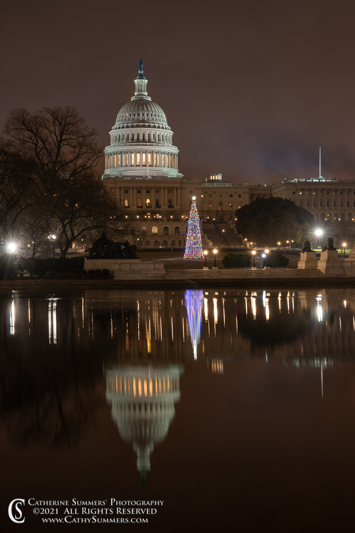 20211231_001: vertical, reflection, winter, US Capitol, night, Christmas Tree