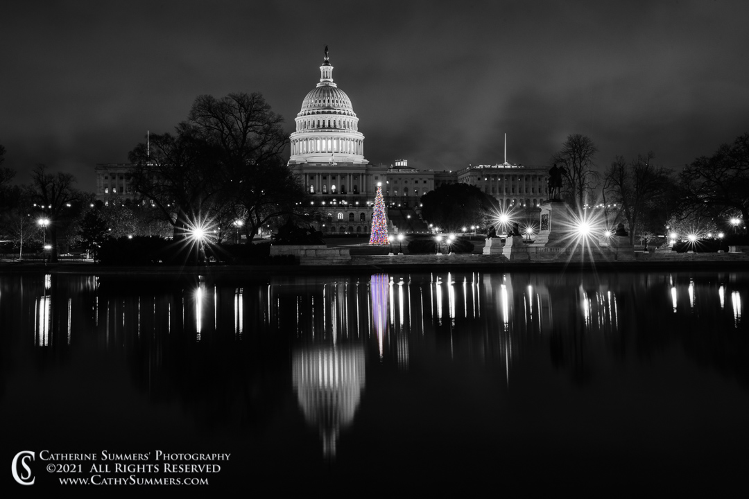 20211231_004: clouds, reflection, horizontal, US Capitol, black and white, night, Christmas Tree, monochromatic