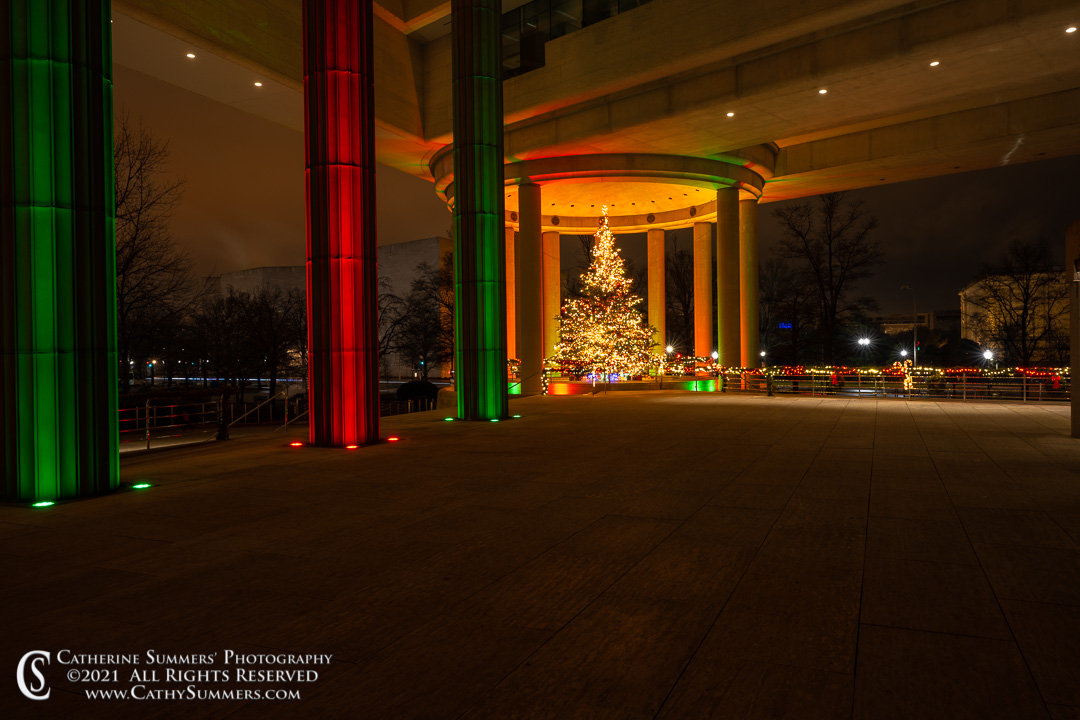 20211231_010: horizontal, winter, Christmas Tree, Canadian Embassy
