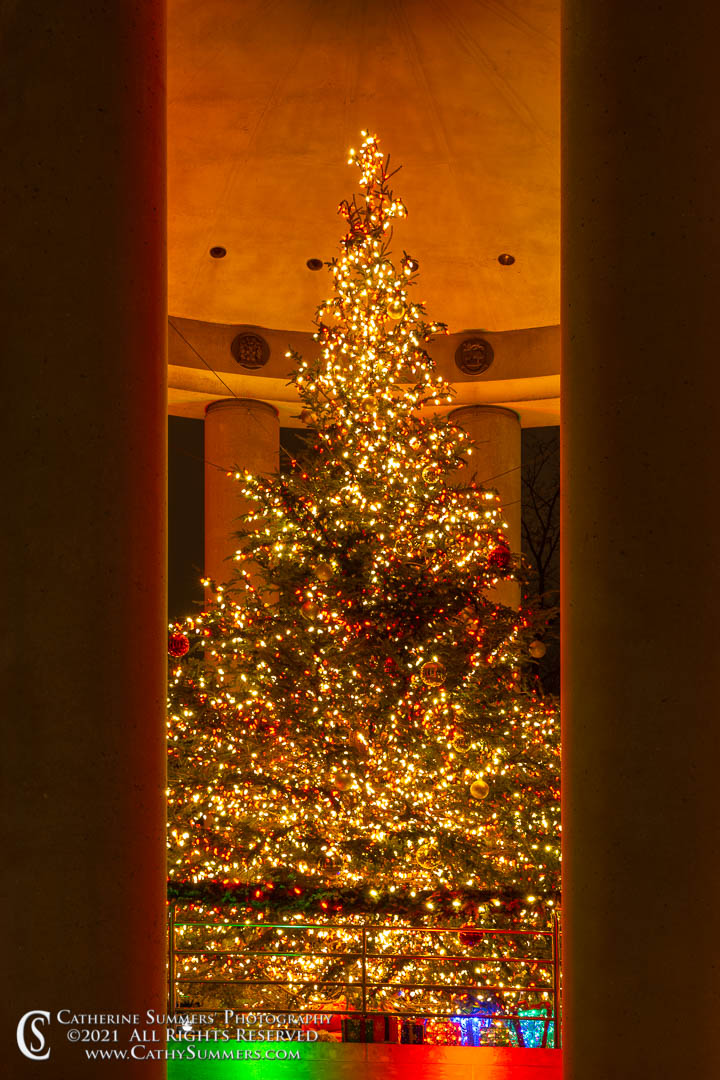 20211231_013: vertical, winter, Christmas Tree, Canadian Embassy