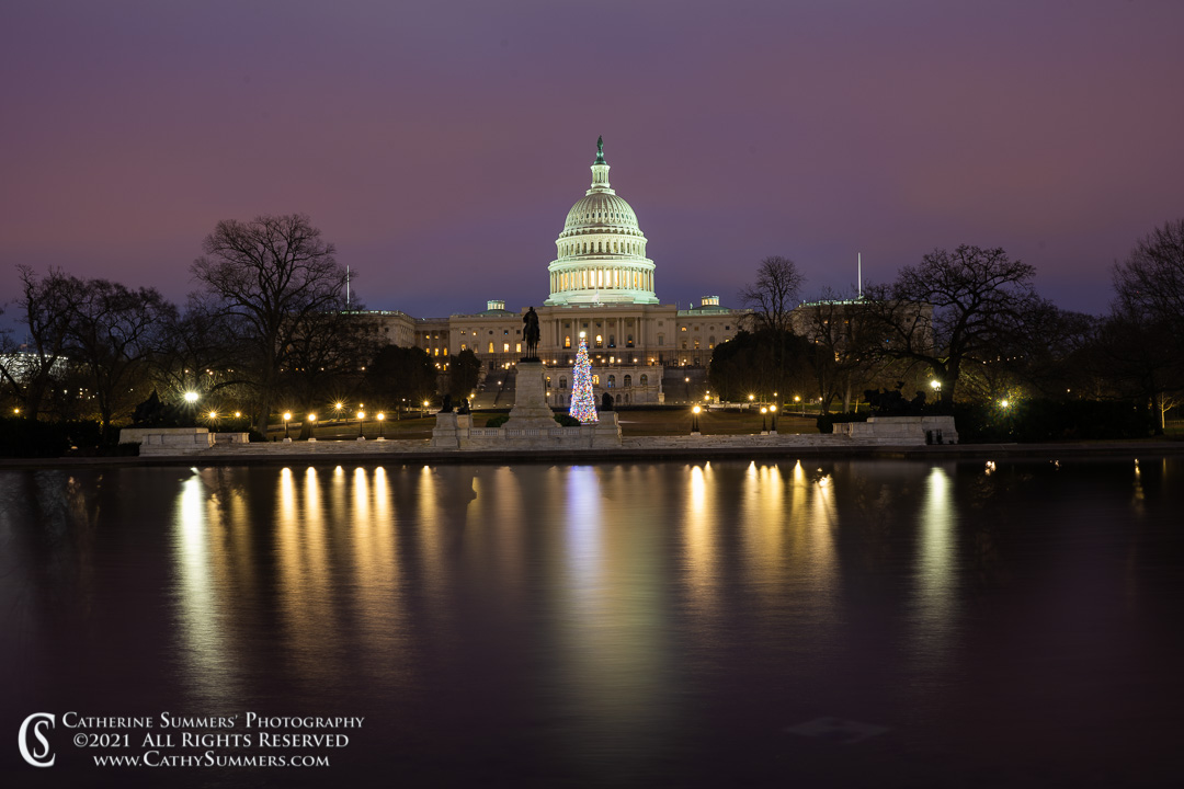 20211231_018: reflection, horizontal, winter, dawn, US Capitol, Christmas Tree