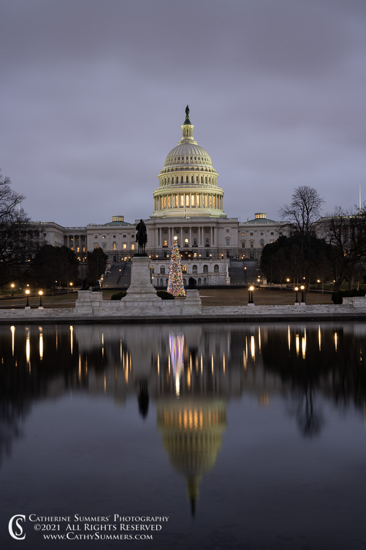 20211231_023: vertical, clouds, reflection, winter, US Capitol, Christmas Tree