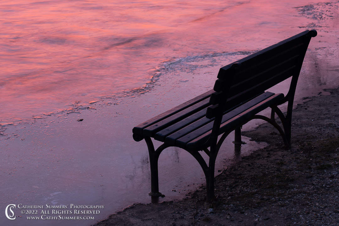 Sunrise and Bench at the Tidal Basin as High Tide Breaks the Ice