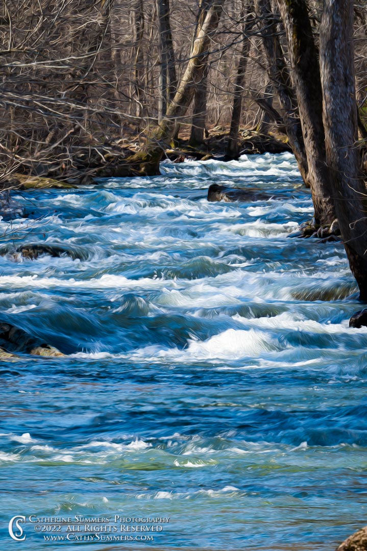 Winter Afternoon on the Upper Moormans - Oil Paint Effect