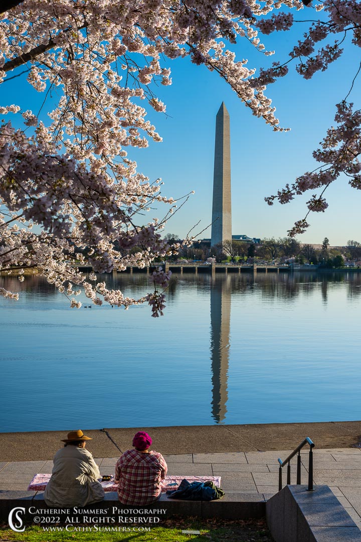 Breakfast with a View - Washington Monument and Cherry Blossoms