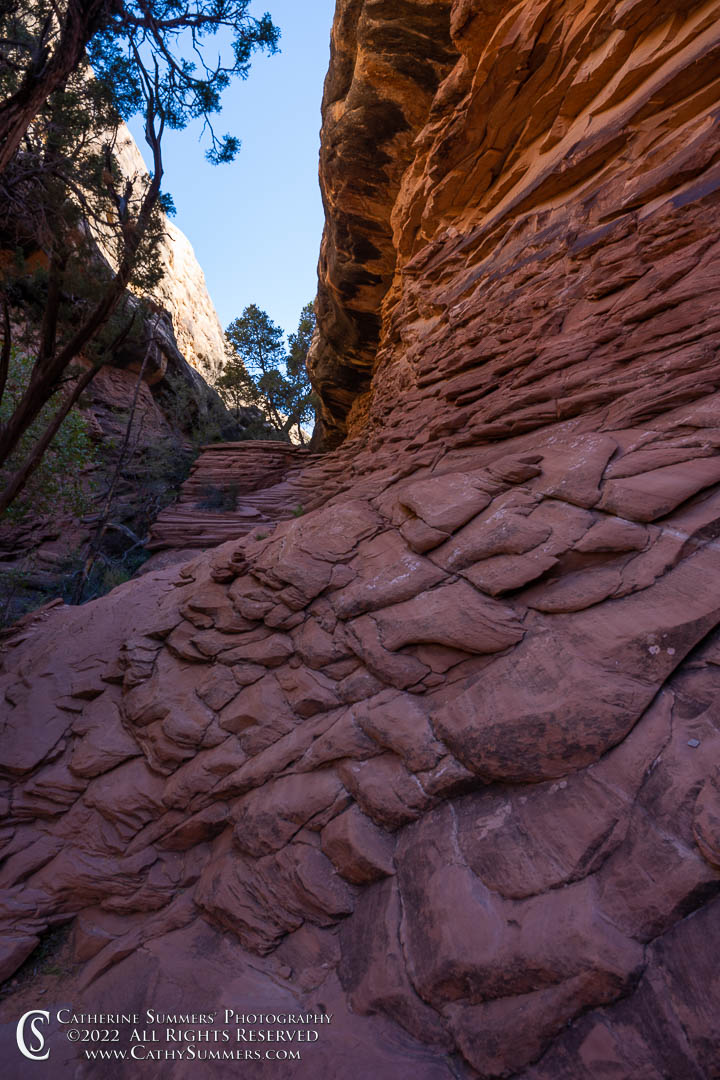On the Trail to Chesler Park in Canyonlands National Park