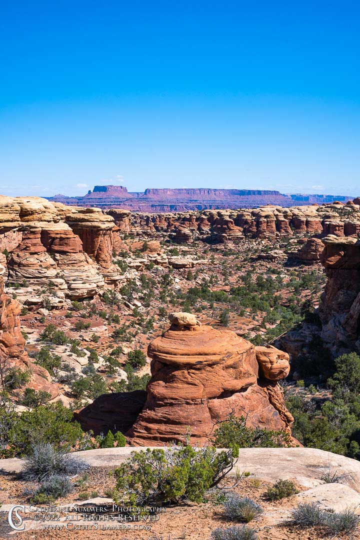 In the Needles Looking Toward Island in the Sky - Canyonlands National Park