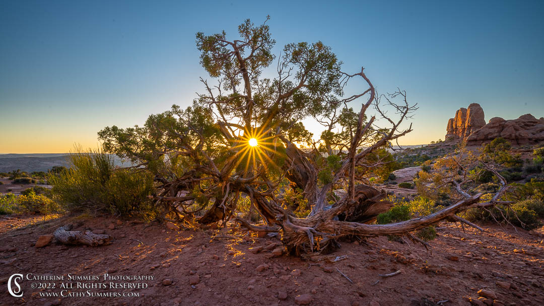 Sunrise and Sunstar in Arches National Park