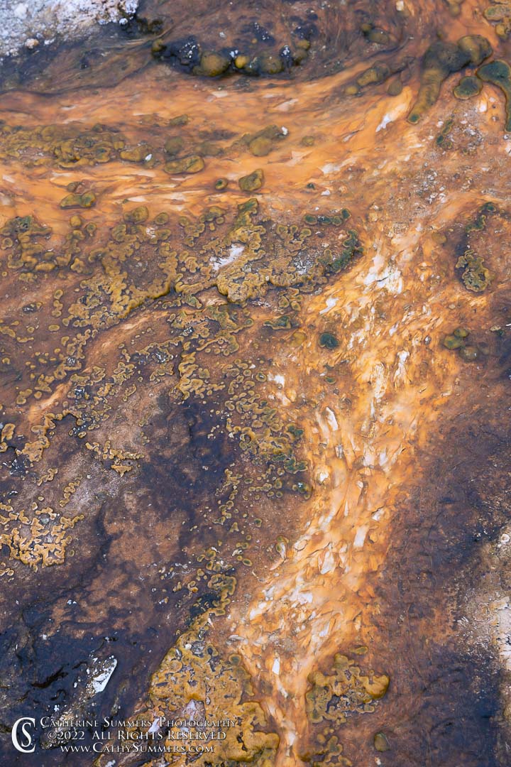20220605_003: vertical, orange, Yellowstone National Park, patterns, Upper Geyser Basin, bacteria, hot springs