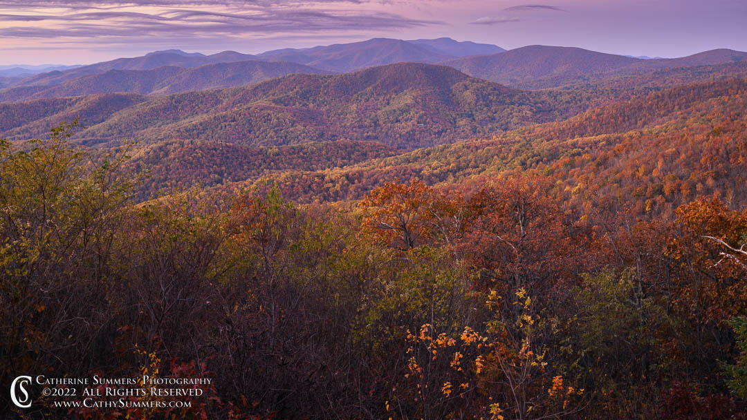 20221028_NZ93487: horizontal, autumn, Shenandoah National Park, dawn, Blue Ridge Mountains, Skyline Drive, Range View Overlook
