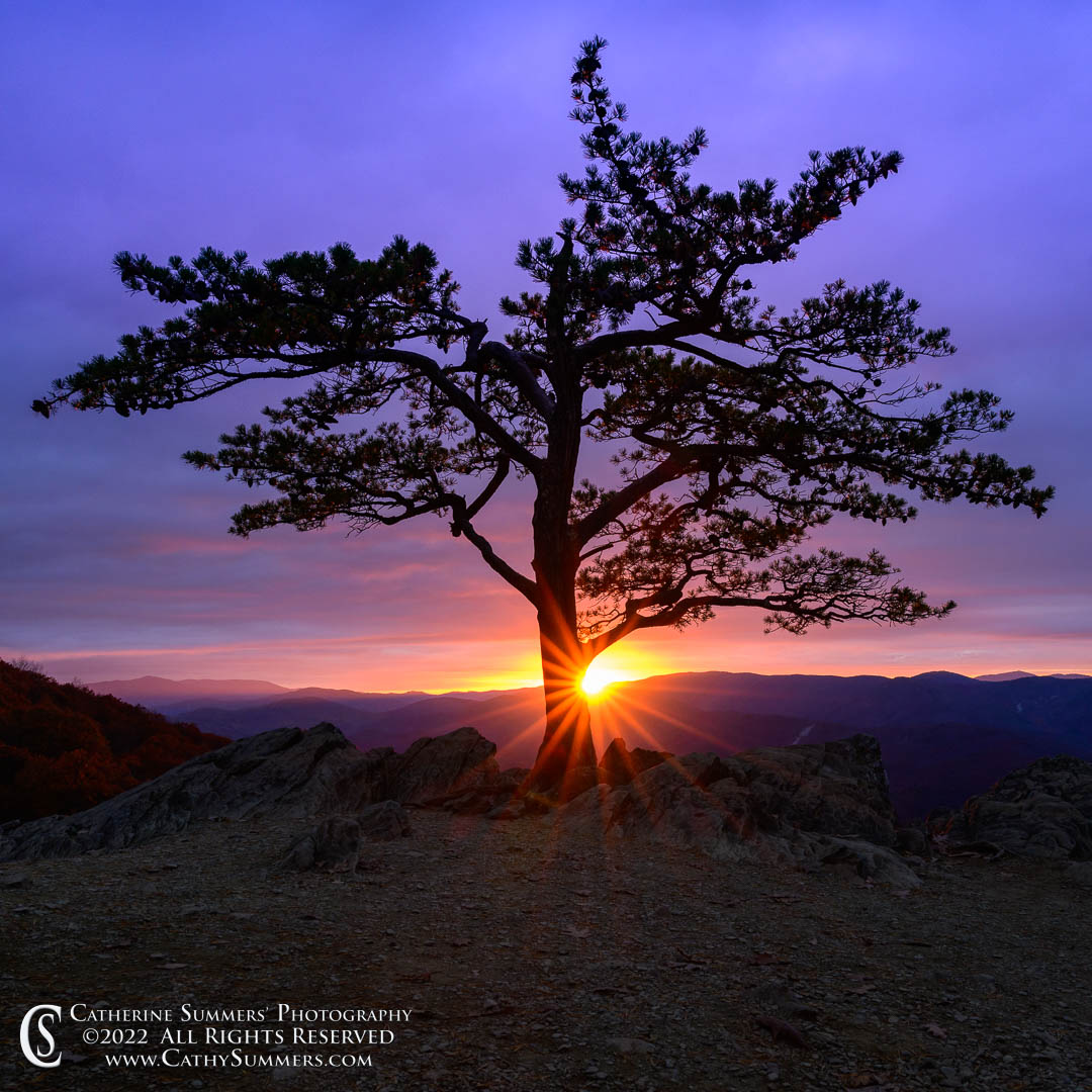 20221028_NZ93944: sunset, clouds, square, Blue Ridge Mountains, Blue Ridge Parkway, sunstar, Ravens Roost