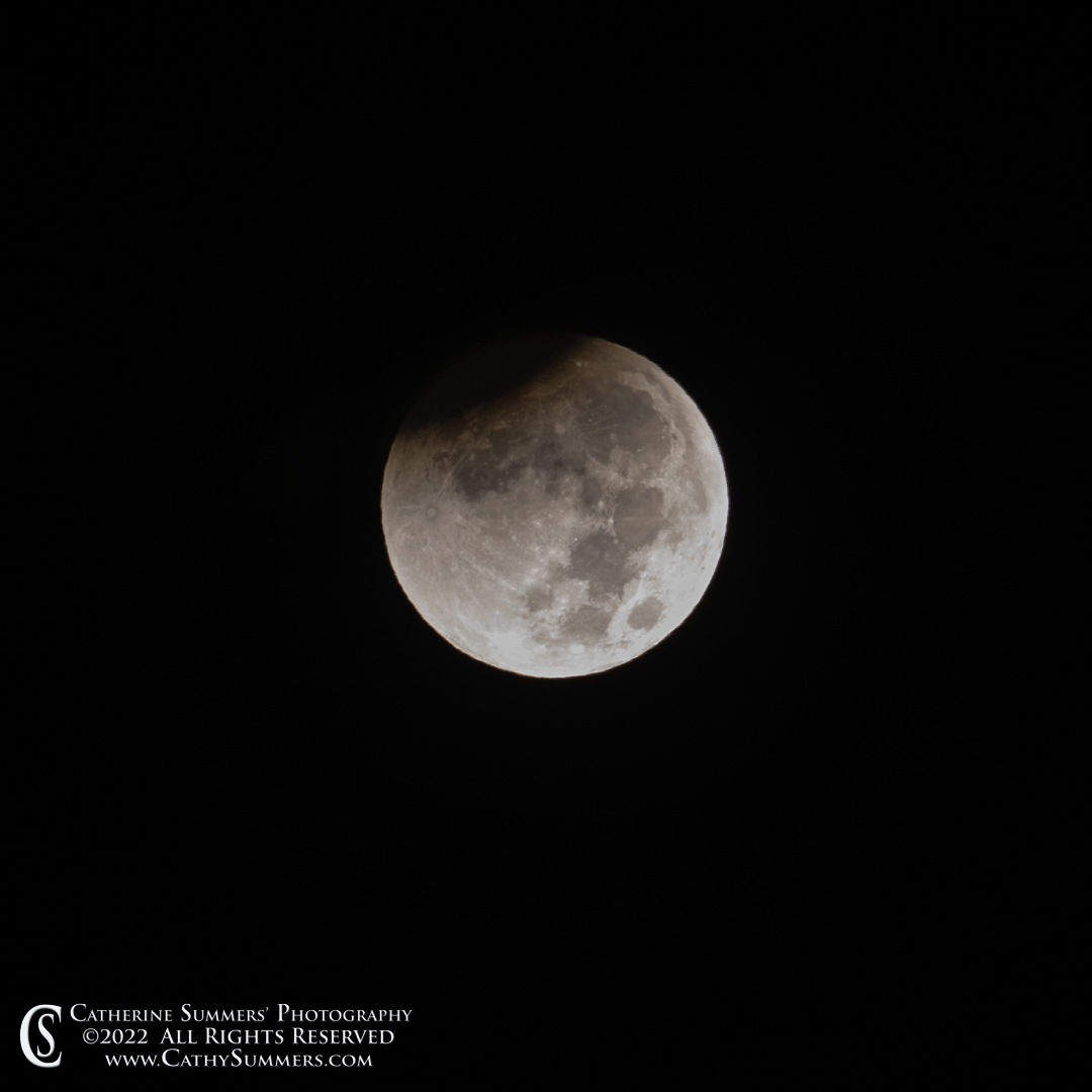 20221108_NZ95312: moon, square, full moon, lunar eclipse