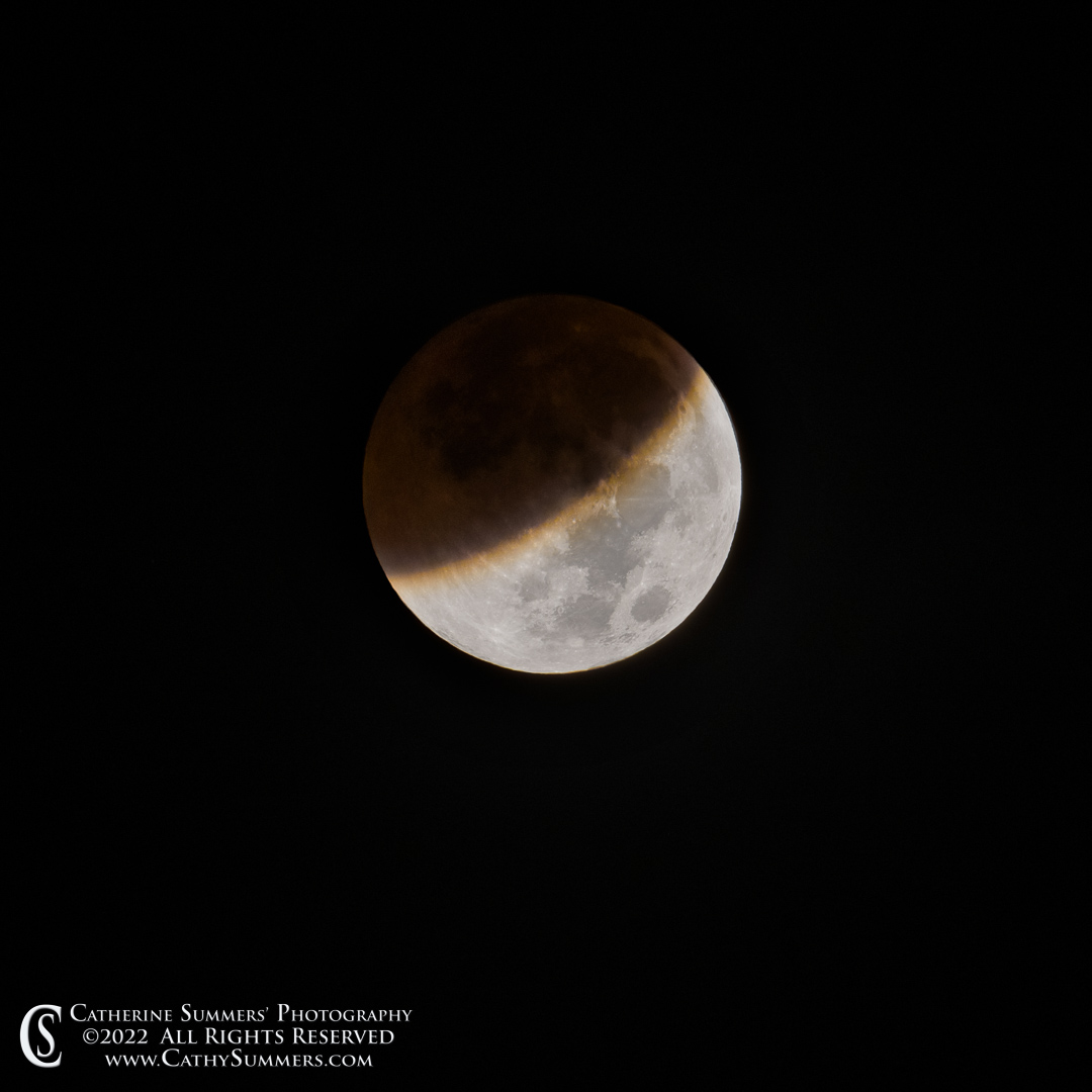 20221108_NZ95333: moon, square, full moon, lunar eclipse