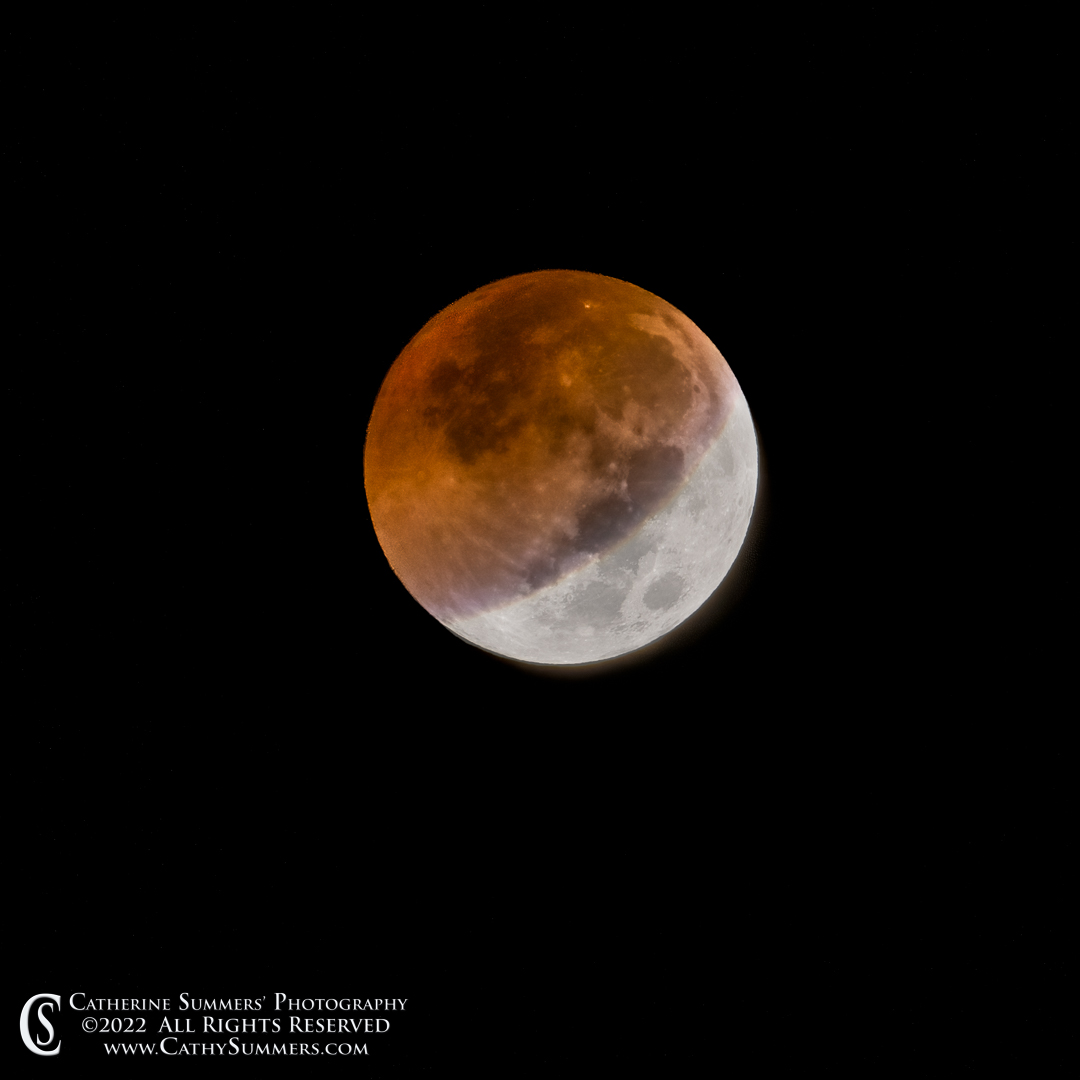 20221108_NZ95339: moon, square, full moon, lunar eclipse
