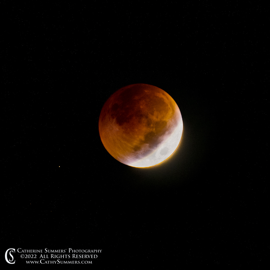 20221108_NZ95353: moon, square, full moon, lunar eclipse