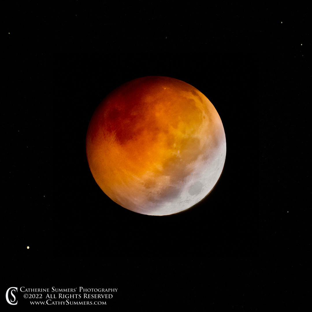 20221108_NZ95362: moon, square, full moon, lunar eclipse