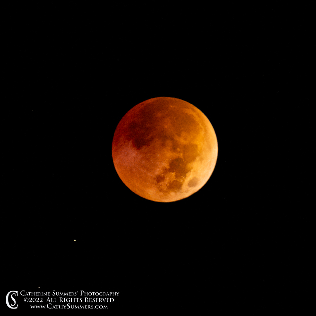 20221108_NZ95648: moon, square, full moon, lunar eclipse