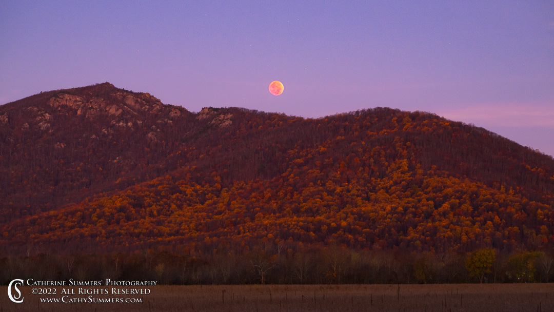 20221108_NZ95827: horizontal, autumn, Shenandoah National Park, dawn, Blue Ridge Mountains, Old Rag, full moon, lunar eclipse