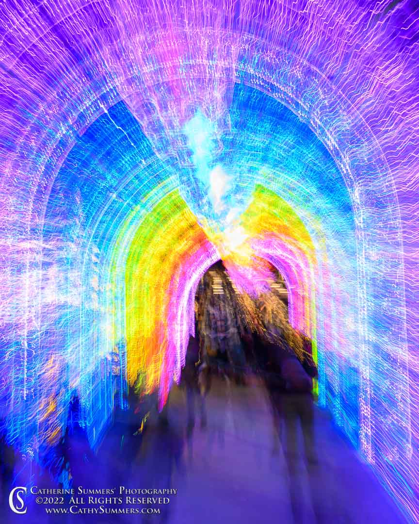 20221220_Z720164: vertical, DC, Christmas Lights, long exposure, zoom, Team Trials, Washington DC, Enchant, handheld