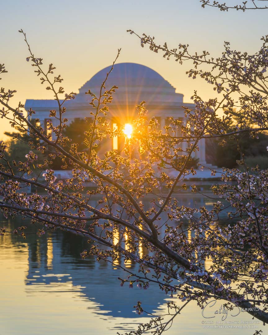Sunburst as the Spring Equinox Sunrise Shines Through the Jefferson Memorial and the Cherry Blossoms