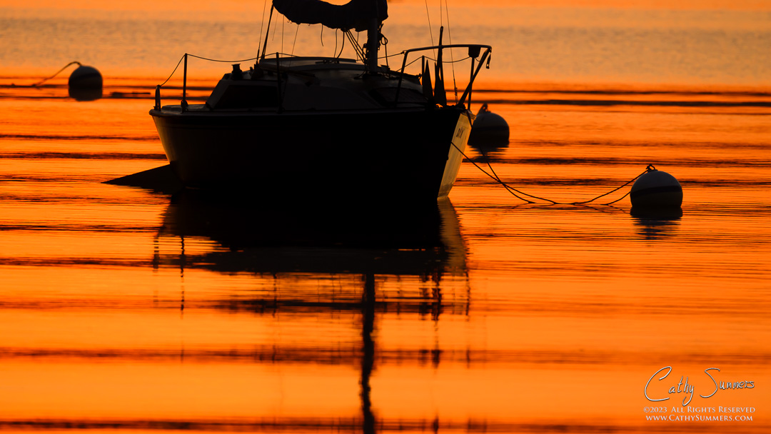 20230507_NZ91418: reflection, horizontal, dawn, sailboat, Potomac River