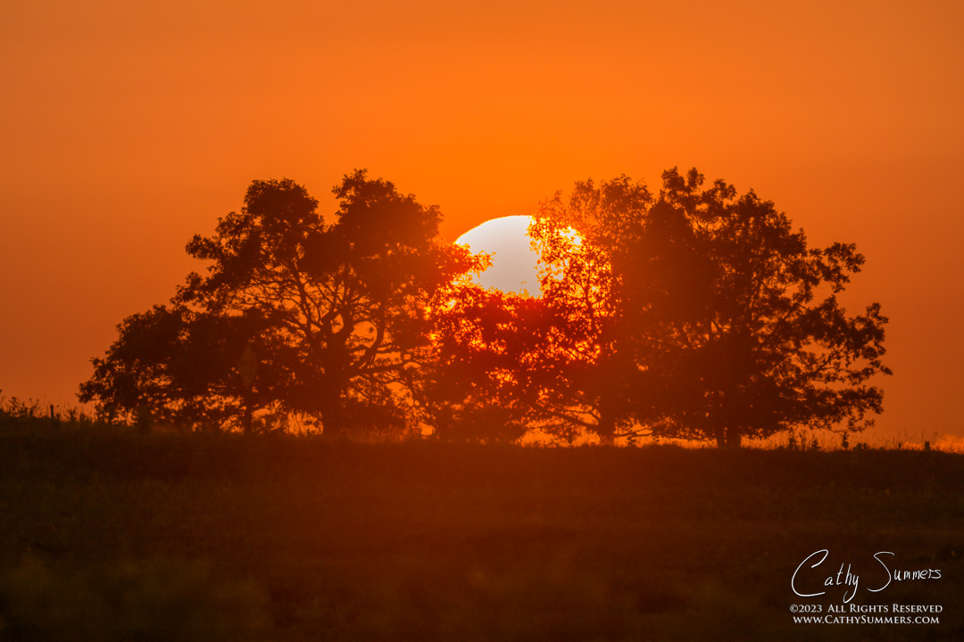 Summer Sunset at Big Meadows with a Big Telephoto