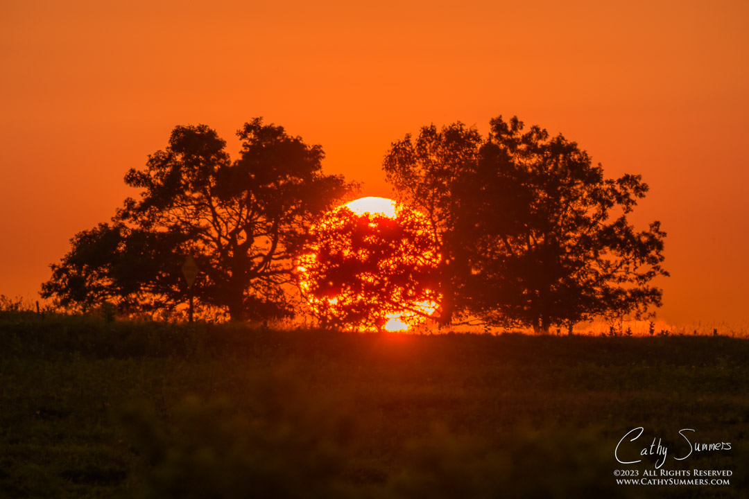 Summer Sunset at Big Meadows with a Big Telephoto