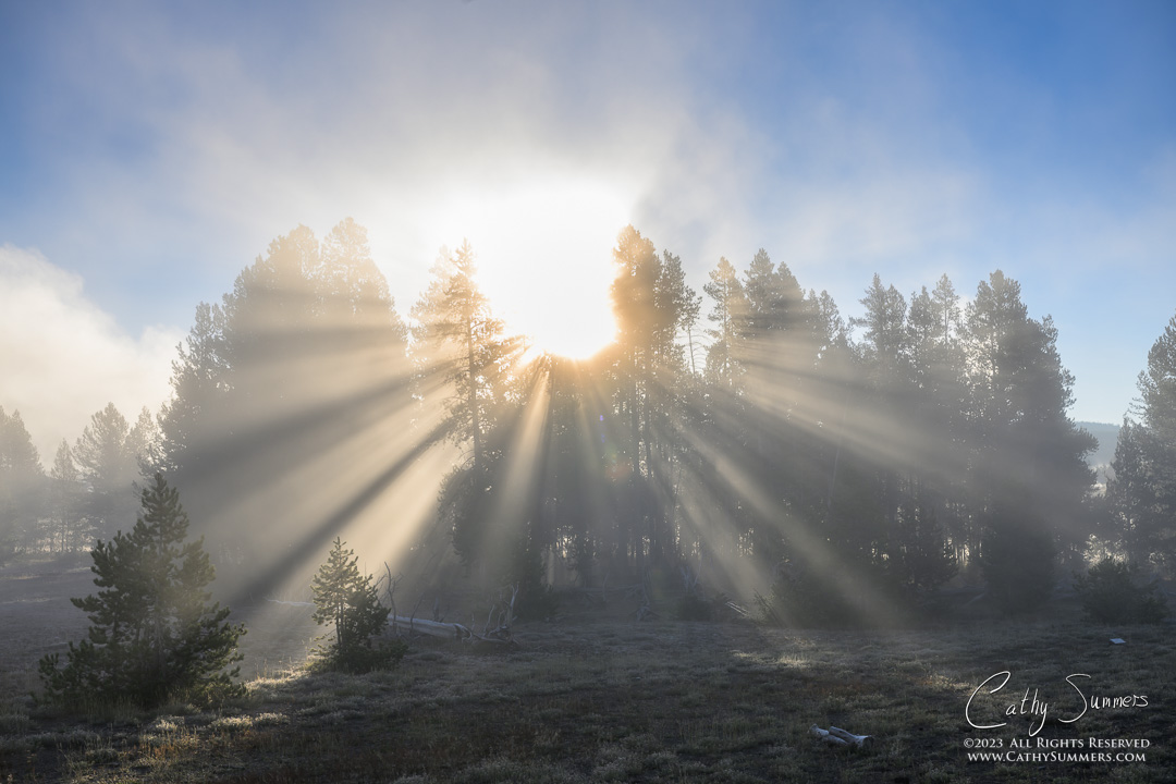 Sunrays While Waiting for Castle Geyser to Errupt on an Autumn Morning in Yellowstone National Park