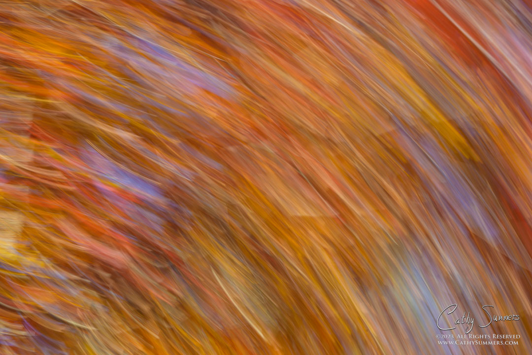 Autumn Leaves Overhead - Intentional Camera Movement