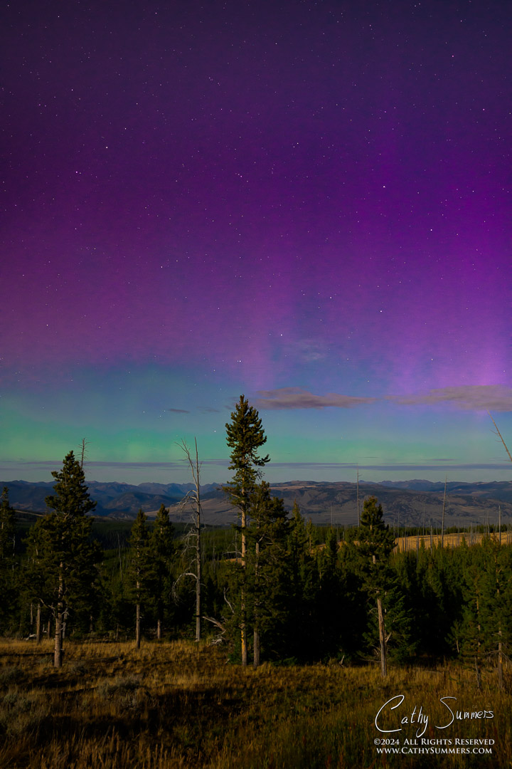 20240917_NZ80057: Yellowstone National Park, moonlight, Dunraven Pass, aurora borealis