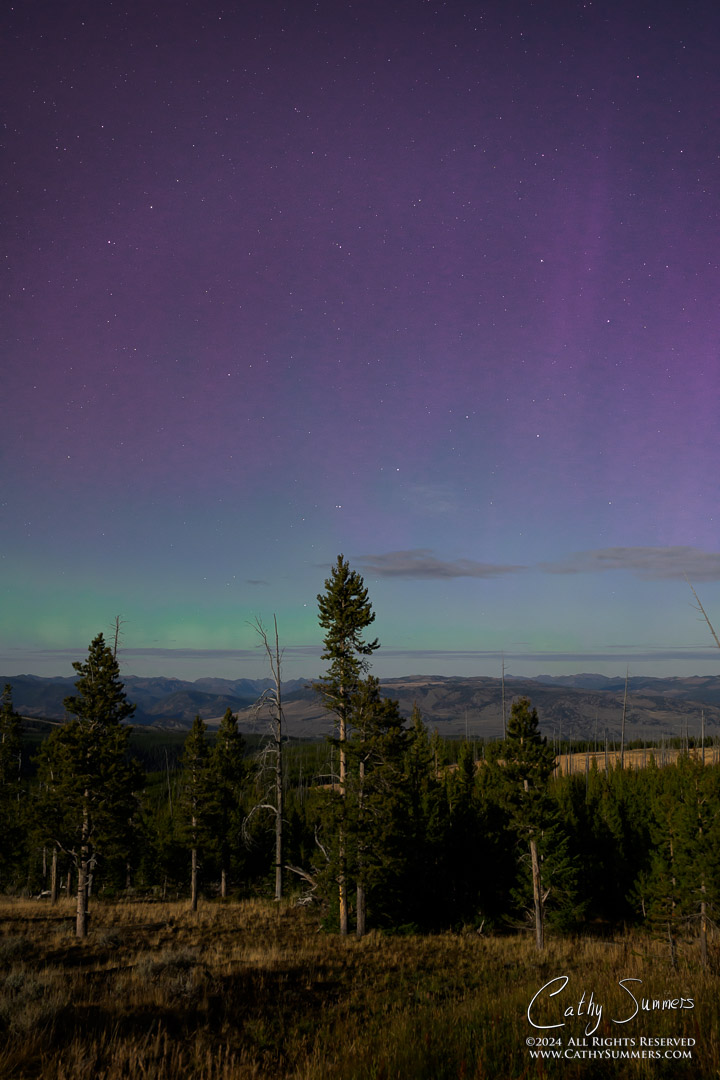 20240917_NZ80062: Yellowstone National Park, stars, astrophotography, Dunraven Pass, aurora borealis