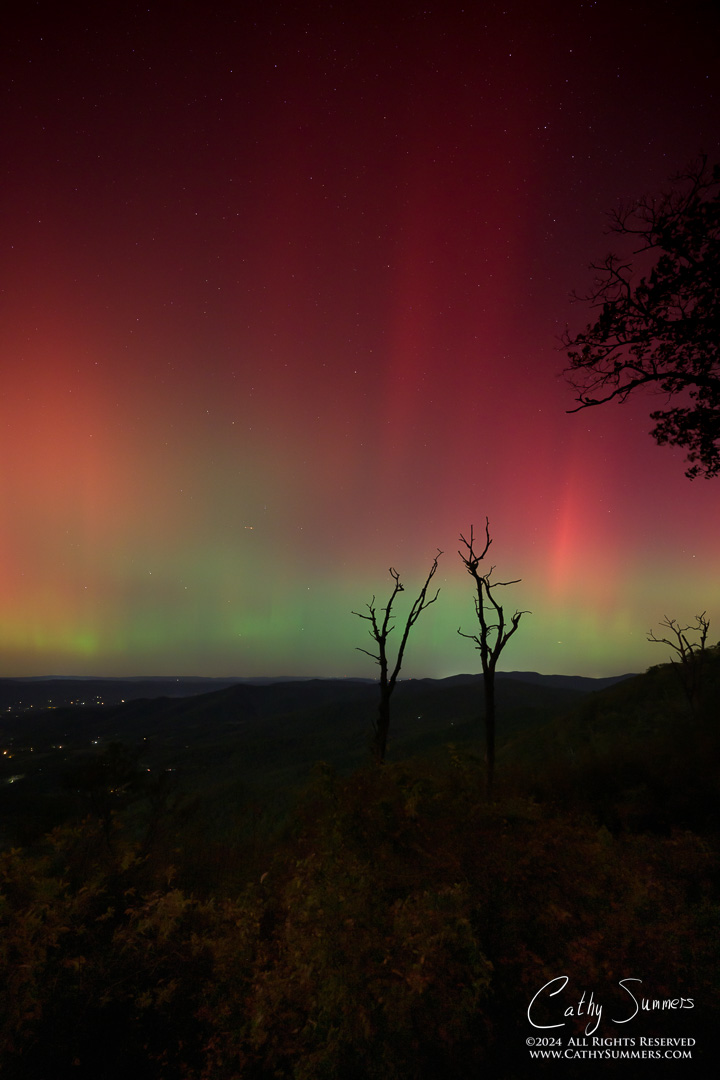 20241010_NZ80018: trees, Shenandoah National Park, Skyline Drive, Jewel Hollow, aurora borealis