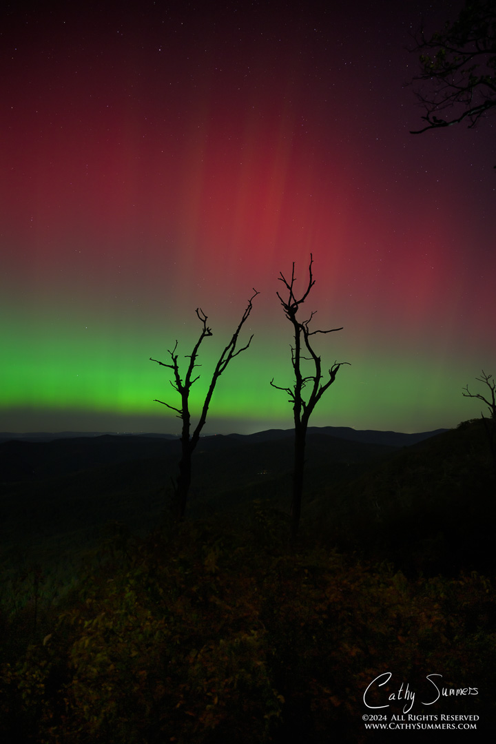 20241010_NZ80056: trees, Shenandoah National Park, Skyline Drive, Jewel Hollow, aurora borealis