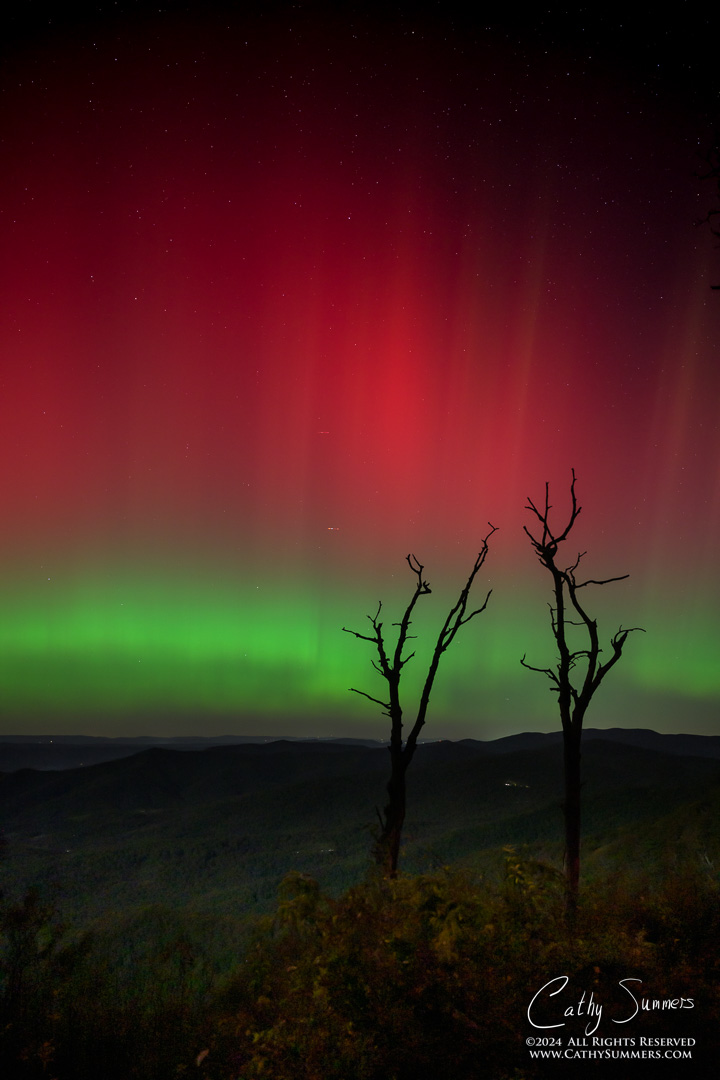 20241010_NZ80066: trees, Shenandoah National Park, Skyline Drive, Jewel Hollow, aurora borealis