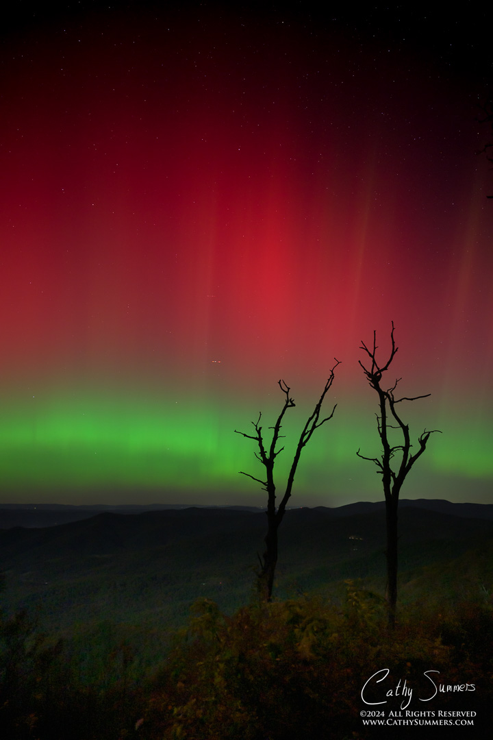 20241010_NZ80067: trees, Shenandoah National Park, Skyline Drive, Jewel Hollow, aurora borealis